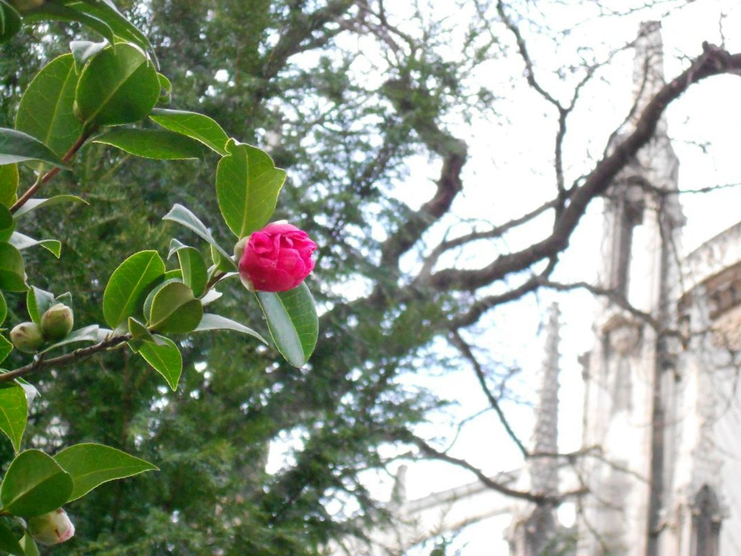 Viktory Shum | Киев