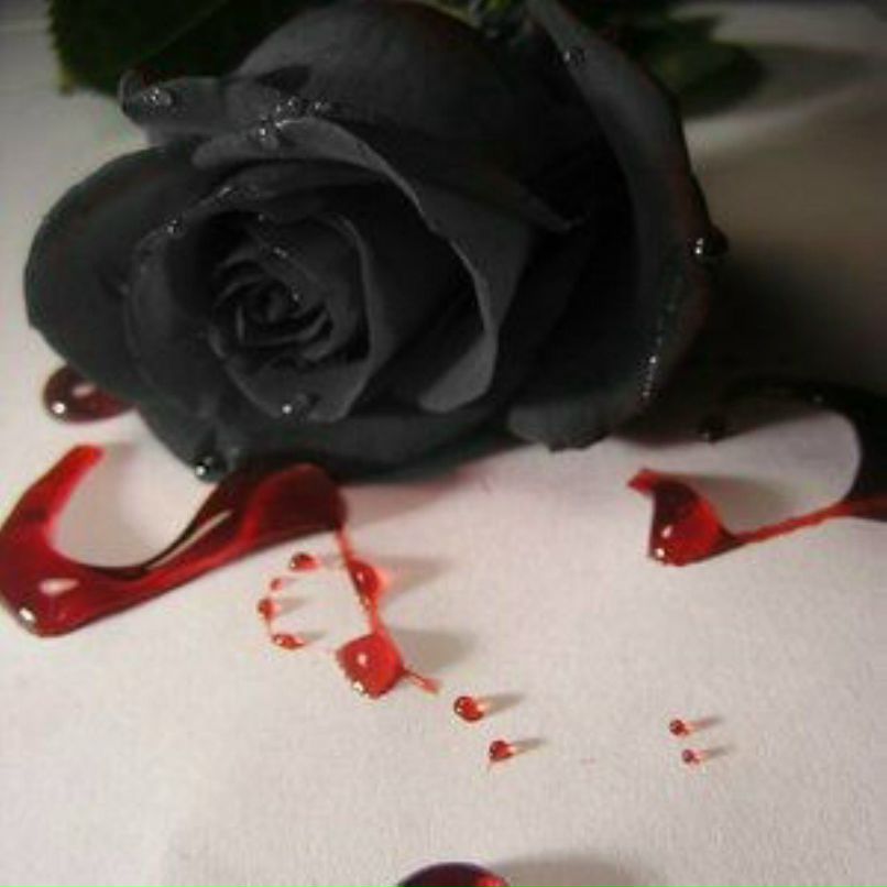 Кристина Панова | Тольятти