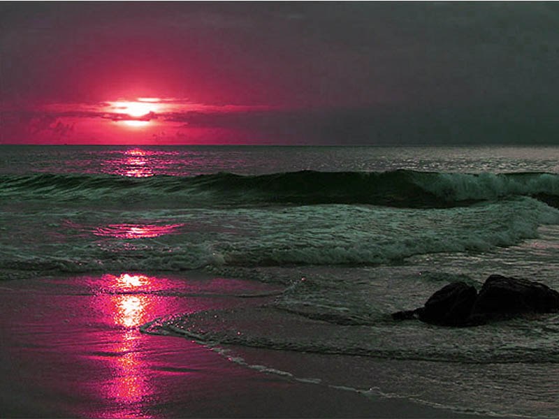 Кирилл Чернышевский Swan | Серпухов