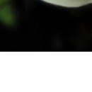 №130, Дашуля Андреева №130, Дашуля Андреева