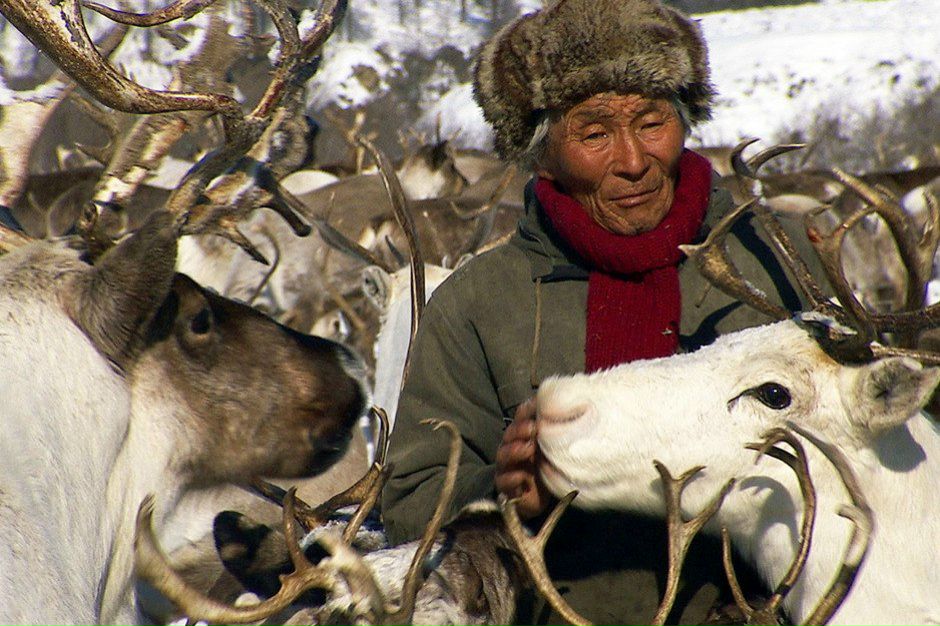 Светлана Недзвецкая | Волгоград