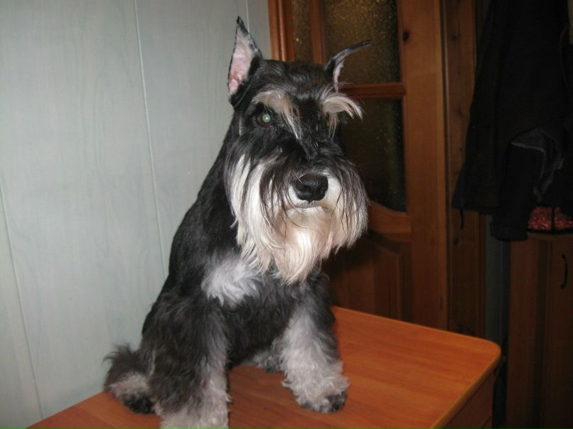 Галина Киселёва | Санкт-Петербург