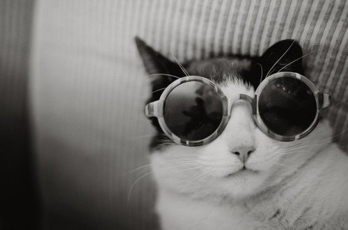 Настюша Петрищева | Красноярск