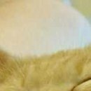 №27, Александр Нетипанов, 46 лет, Санкт-Петербург №27, Александр Нетипанов, 46 лет, Санкт-Петербург