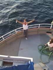 №6, Serdal Zateroğlu, İstanbul №6, Serdal Zateroğlu, İstanbul