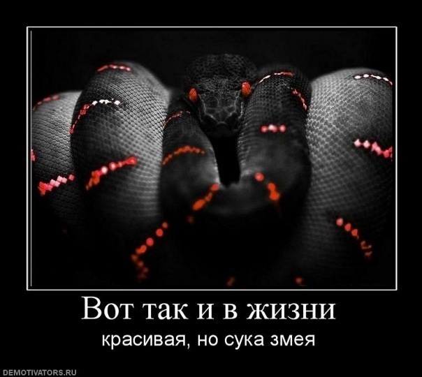 №15, Ольга Дерр, 36 лет, Владивосток №15, Ольга Дерр, 36 лет, Владивосток