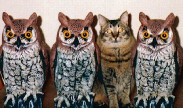 Ирина Николаевна | Волгоград