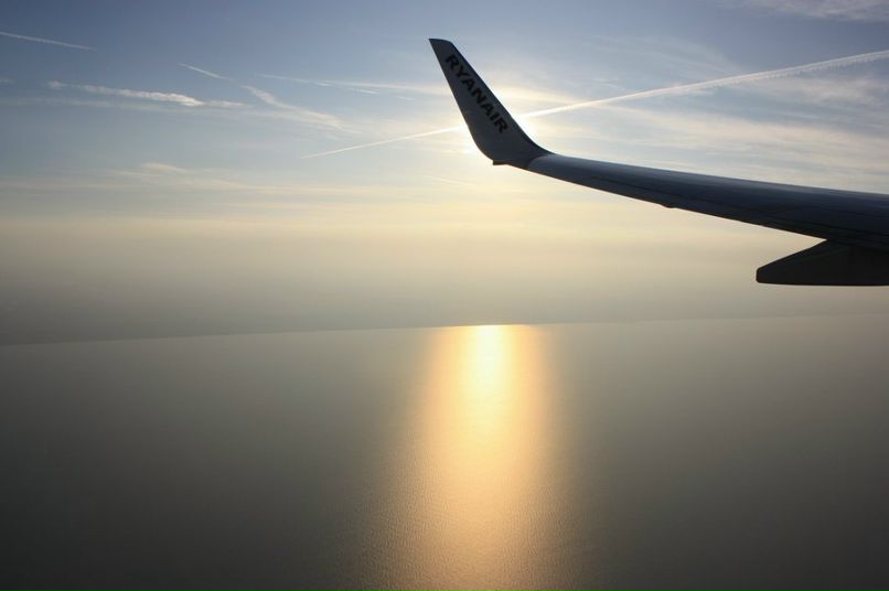 Евгения Кокиашвили | Сумы