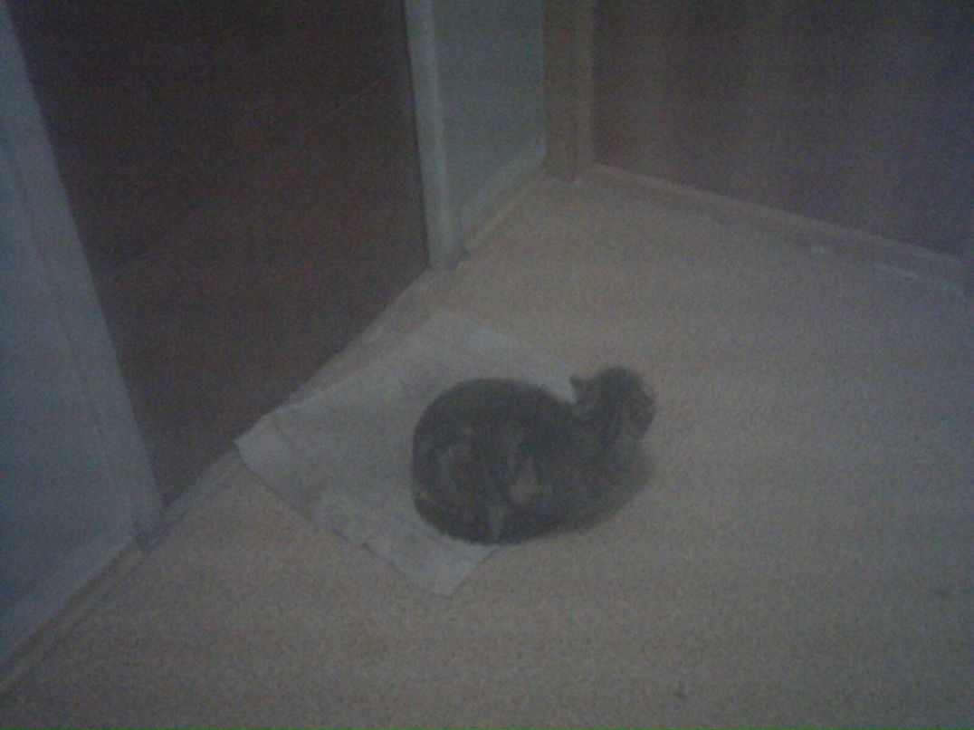 Olimjon Abdunazarov oabdunazarov | Москва