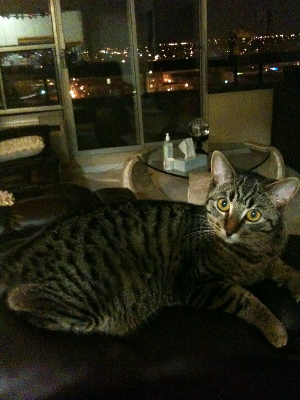 Dzvinka Rogova | Oshawa