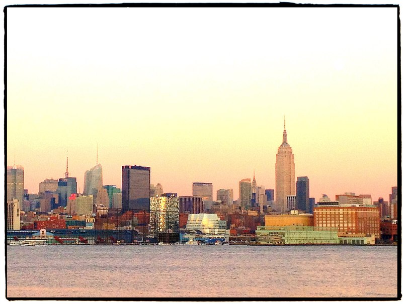 Александр Жук dung-beetle | Минск