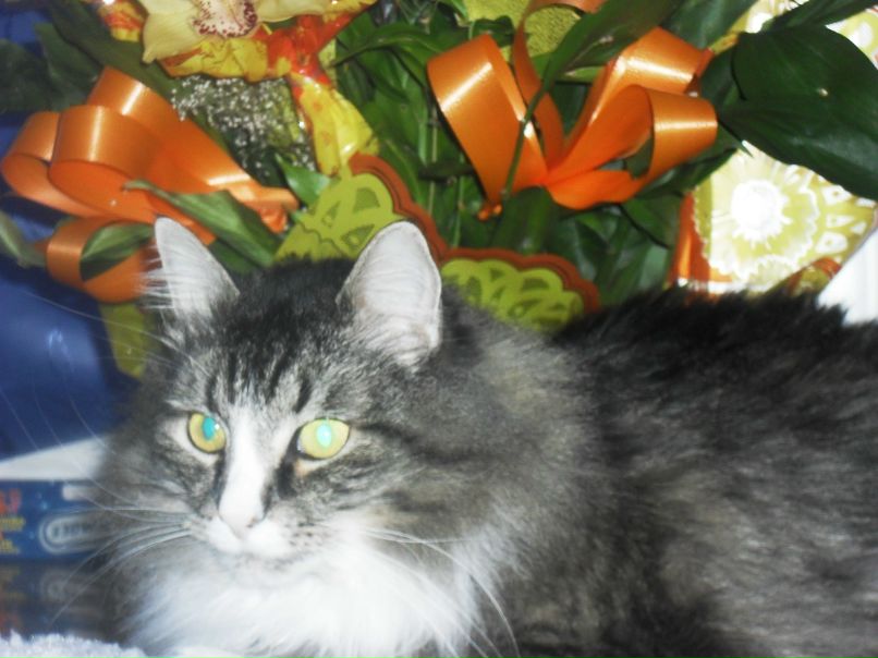 Татьяна Дюбарева | Санкт-Петербург