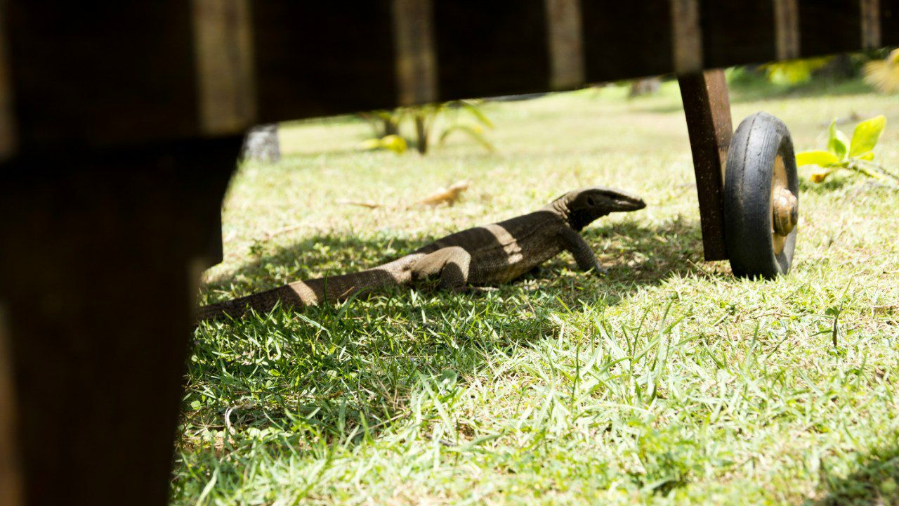 Just Annie | Харьков