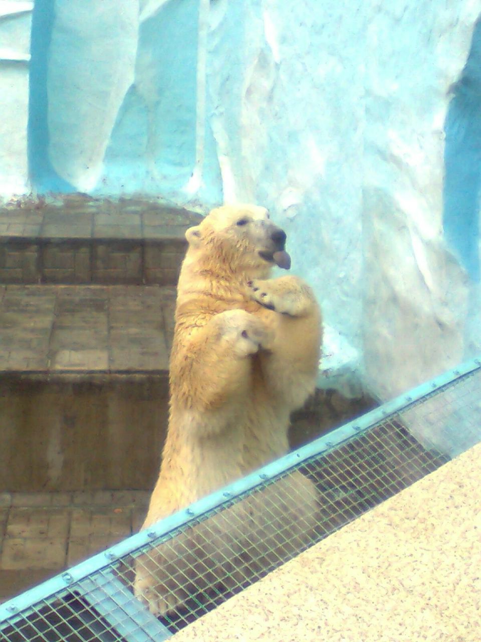 Дмитрий Никифоров Романович | Новосибирск