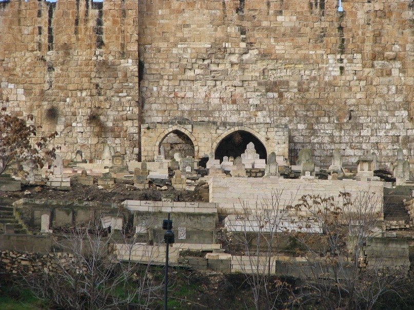 Владимир Колесник ПЕТРОВИЧ | Киев