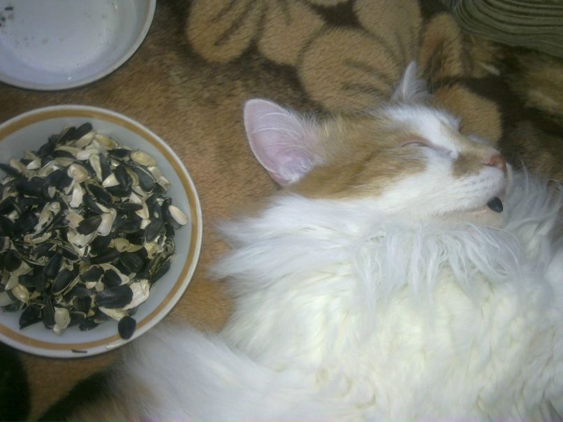 Оленька Зайцева | Челябинск