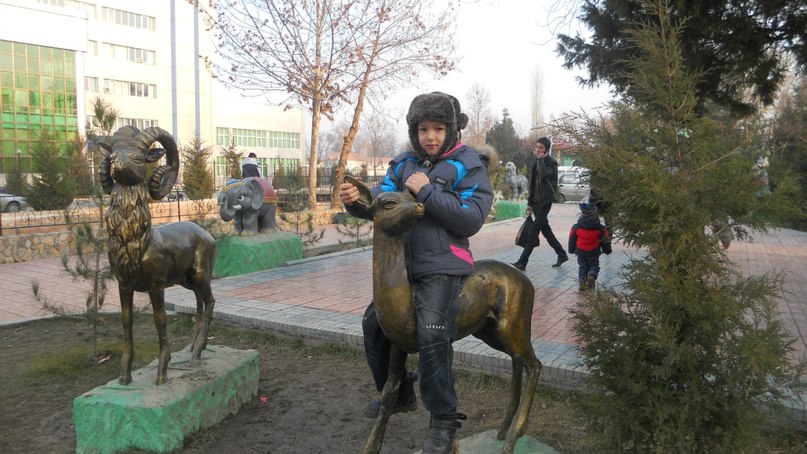 Данил Салихов | Старобалтачево