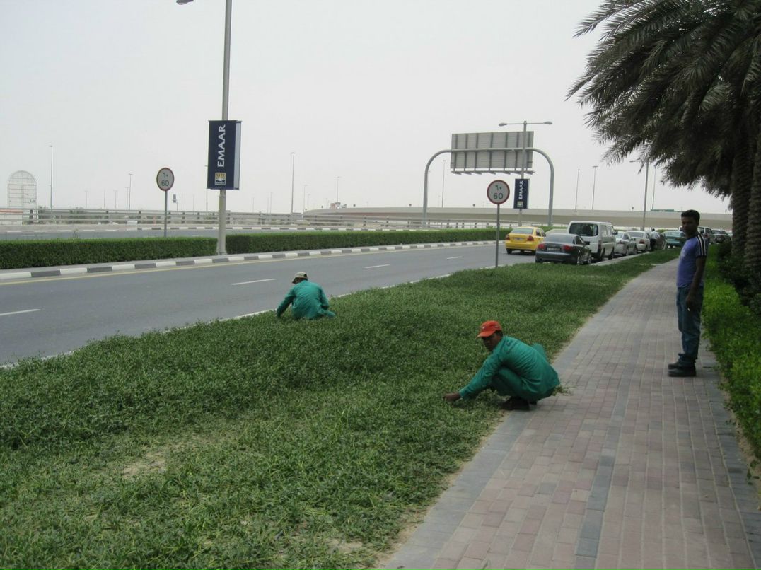 Болеслав Малиновский BolesLAB | Киев