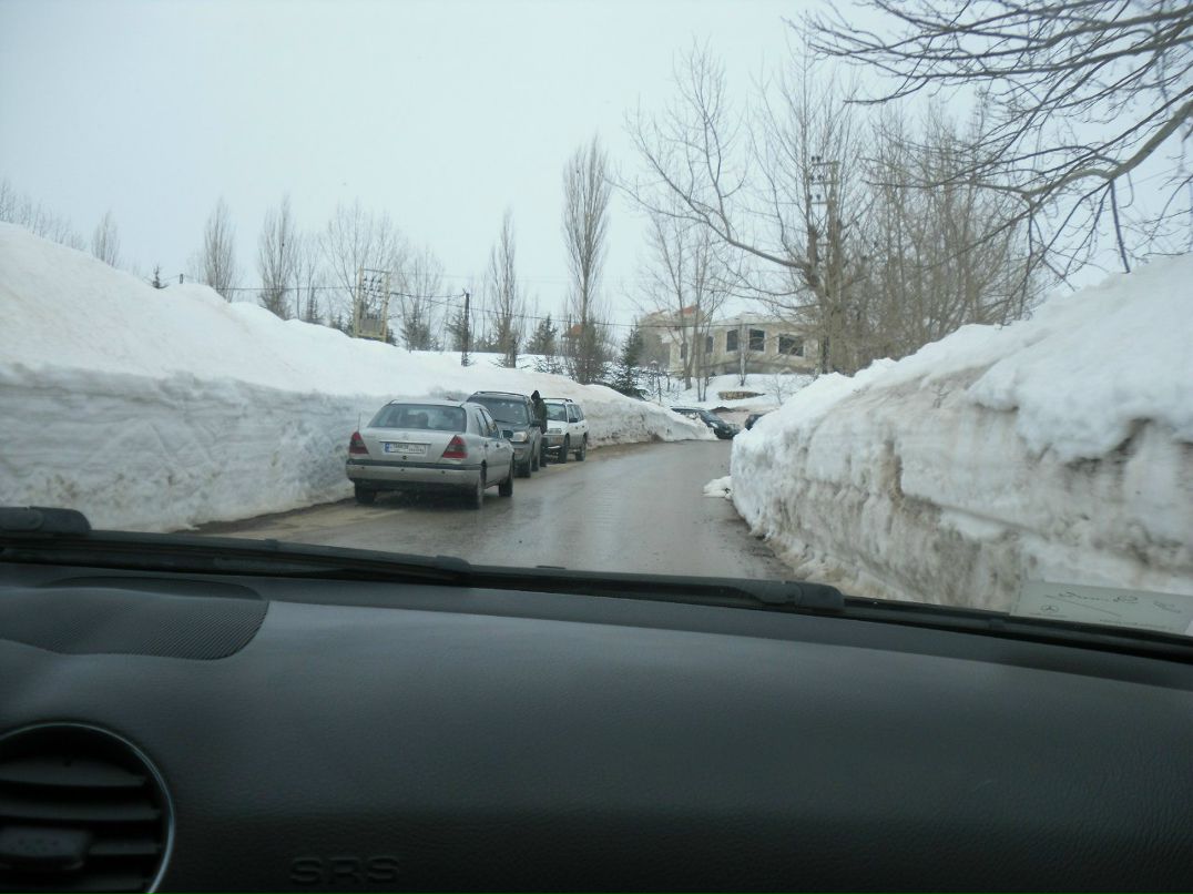 Alina Simonova | Сумы