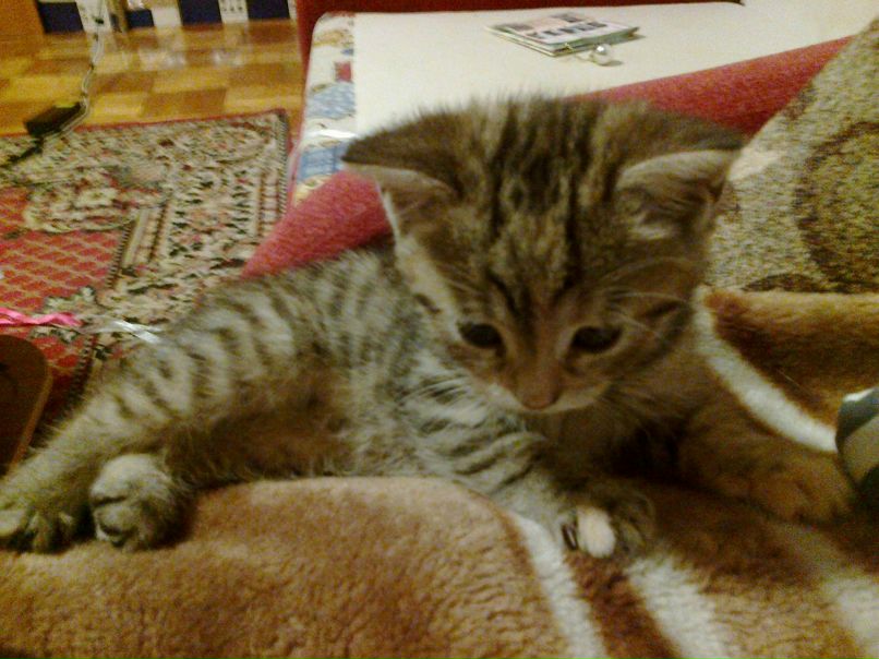 Иван Щукин | Санкт-Петербург