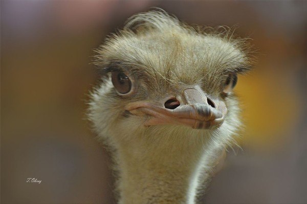 Александр Потоцкий | Białystok