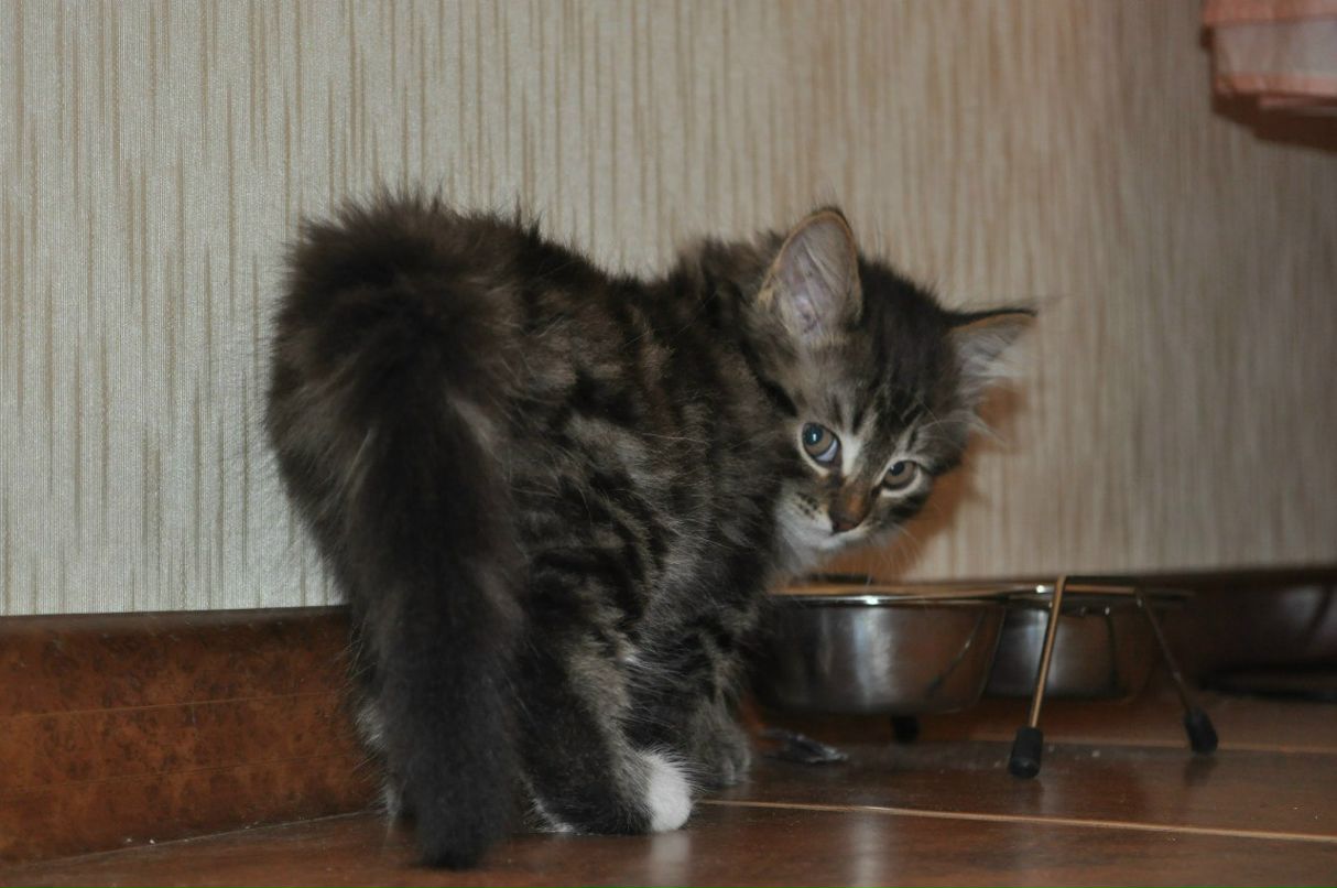 Сергей Сидоров | Москва