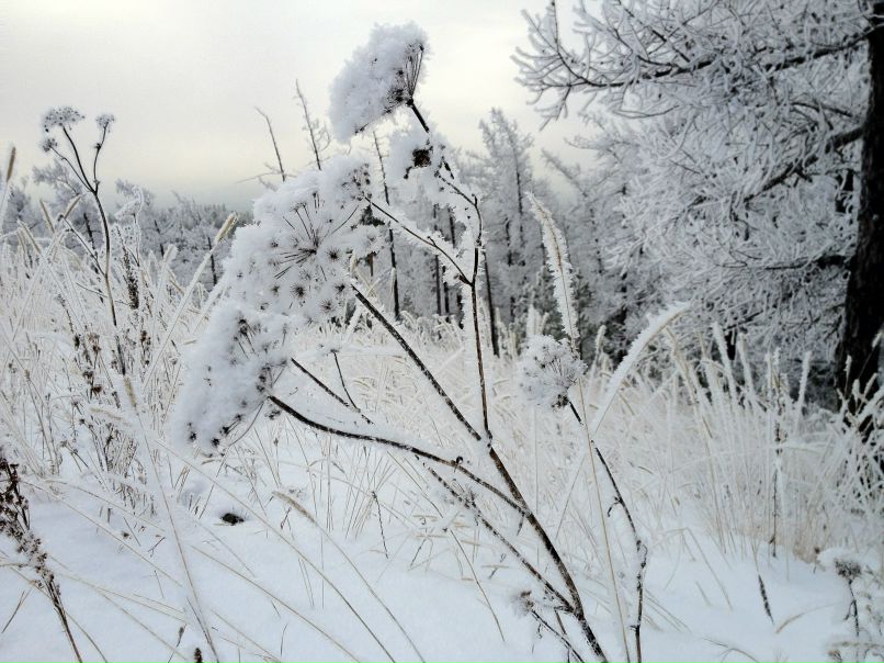 Василий Голосов | Киров