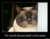 №39 Теона Намчевадзе 15.07: профиль, фото, статус - ВКонтакте