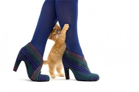 №55, Светлана Оберган, 39 лет, Минск №55, Светлана Оберган, 39 лет, Минск