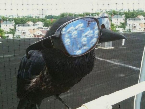 Алексей Каданцев | Мичуринск