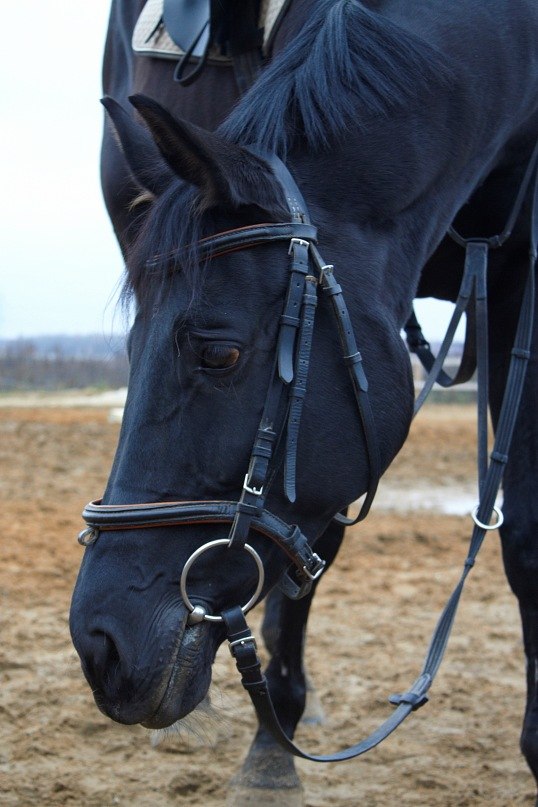 Таня Гаврилова | Москва