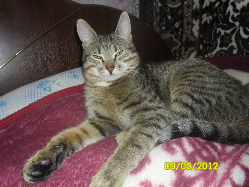 Ольга Чванова | Самара