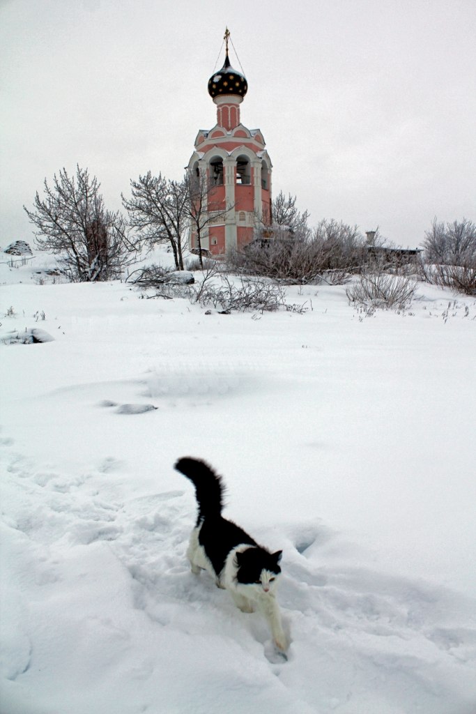 Артур Левинский | Вологда