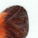 №19, Екатерина Волкова №19, Екатерина Волкова