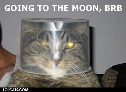 Hélène Tindon | Montpellier