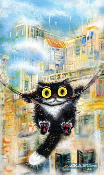 Анастасия Антонова | Санкт-Петербург