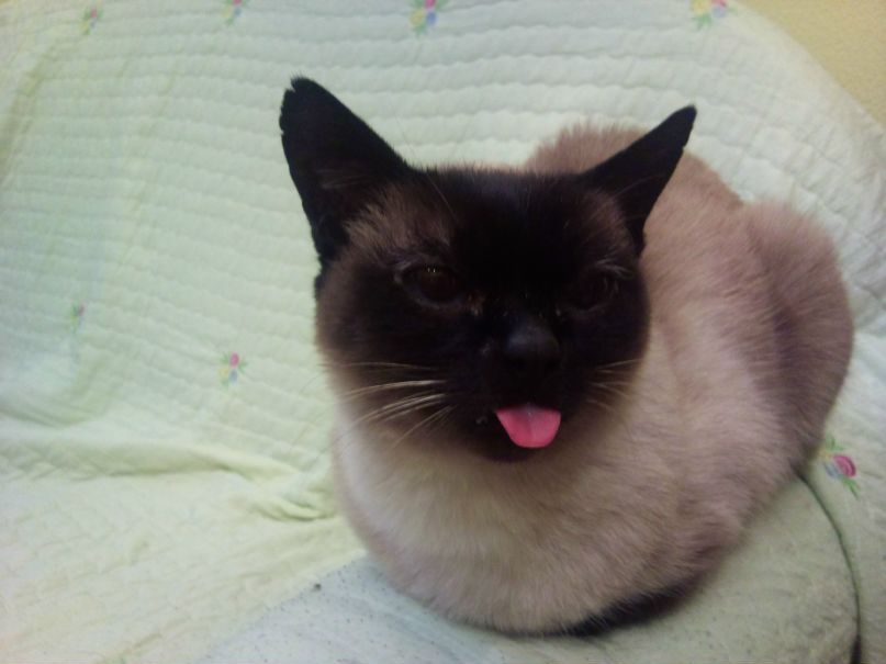 Петр Корко | Владивосток