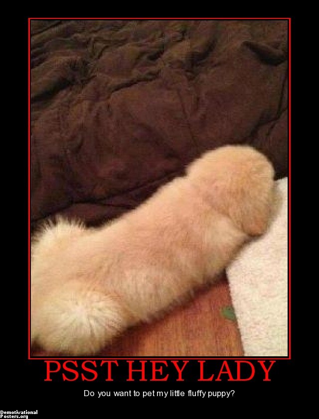 Виктория Виктория | Москва