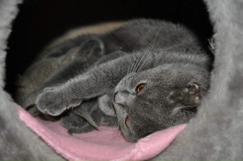 Ольга Скобелева(Полякова) | Псков