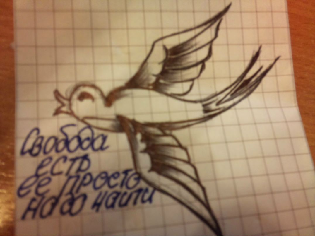 Миша Ryunskui Ариох | 