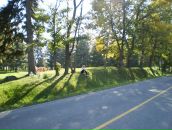 №32 Olga Ushyvtseva : профиль, фото, статус - ВКонтакте