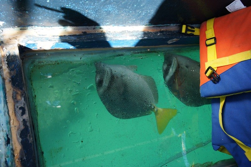 Антон Ермолаев | Харьков