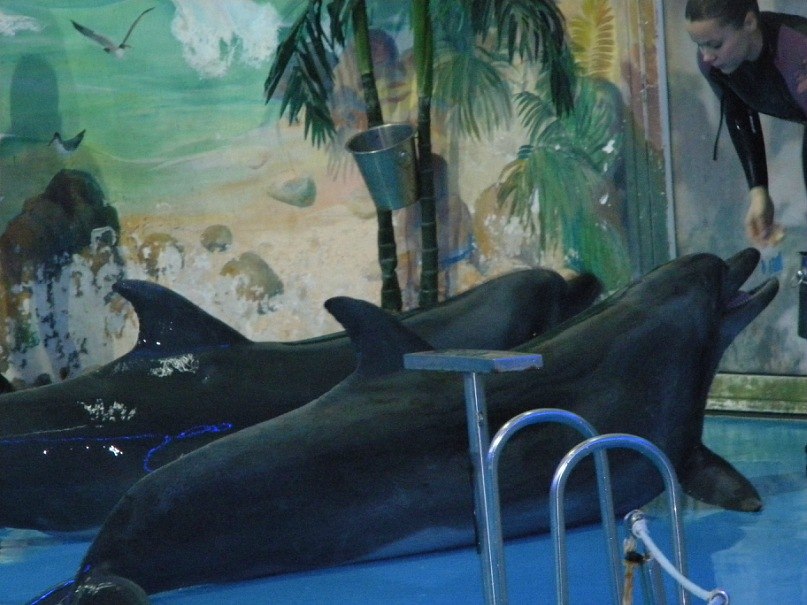 Наталья Коваленко | Kraków