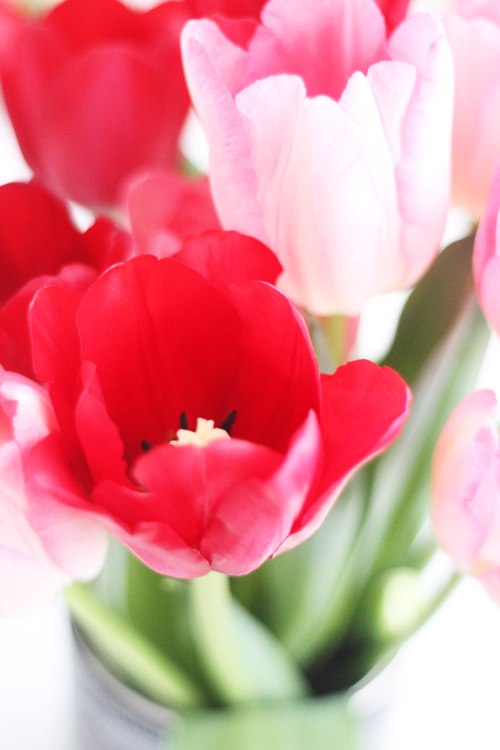 Юля Ющик | Санкт-Петербург