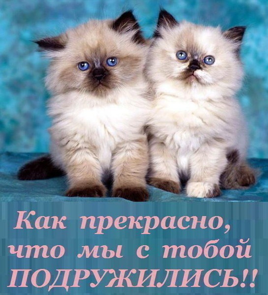 №59, Марина Тимербаева, 12.11, Болгар №59, Марина Тимербаева, 12.11, Болгар