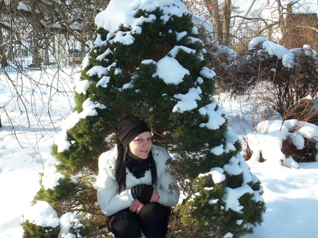 Елена Вильхивская | 