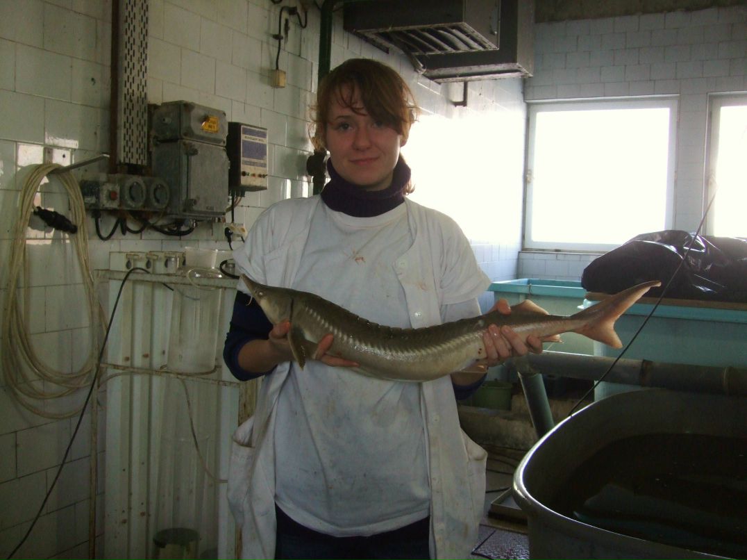 Светлана Лендел | Püspökszilágy