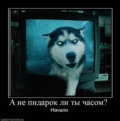 №35, Анна Анхен №35, Анна Анхен