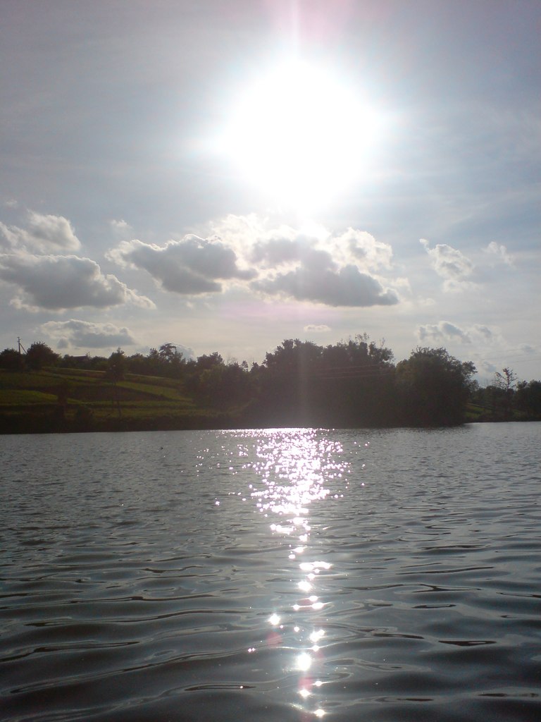 Сергій Могілевець | Austin