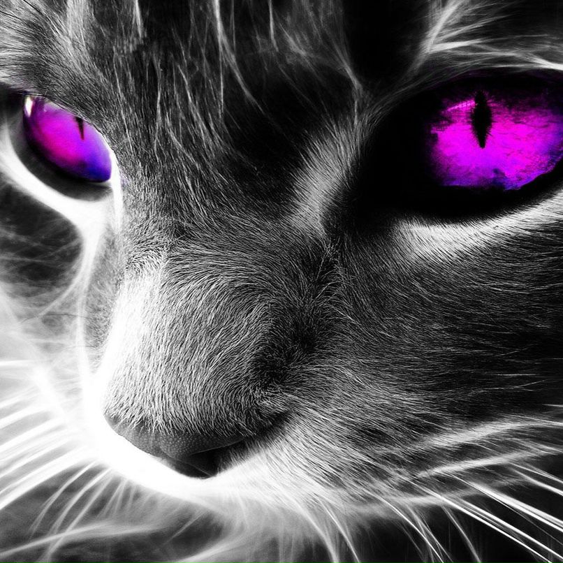 Карина Пашинина | Москва